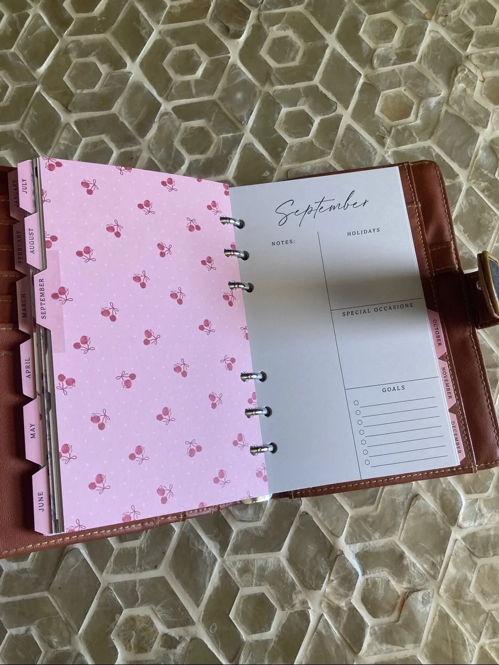 Dooney & Bourke All-Weather Leather (AWL) Vintage Organizer/ Agenda